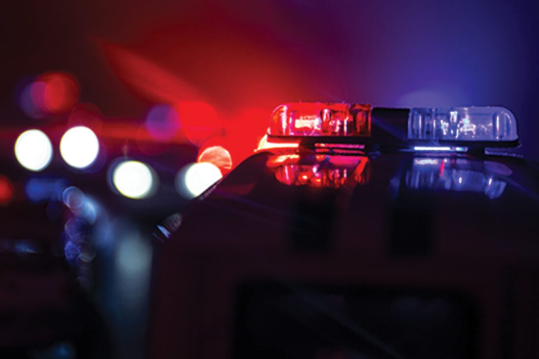 Cape residents charged with grand theft, resisting arrest