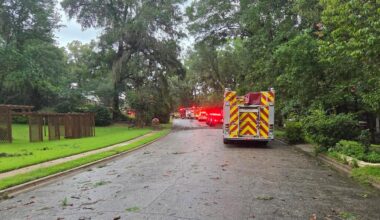 TPD: Two people dead after tree falls on car during storms