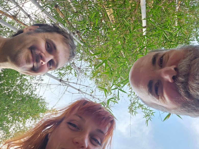 A low-angle, looking-up promotional photograph of the Florida post-punk band Permanent Makeup outdoors under a canopy of bamboo trees and blue sky. Three band members lean over, looking down at the camera lens in a triangular composition. From left to right: Chris Nadeau with short brown hair and smiling down; Susan Dickson positioned lower in the center foreground with red hair and straight bangs framing her face; and James Bess on the right with a full grey-and-white beard and mustache, looking down intently. Green bamboo stalks and leafy branches stretch upward into the clear sky, filling the background around them.