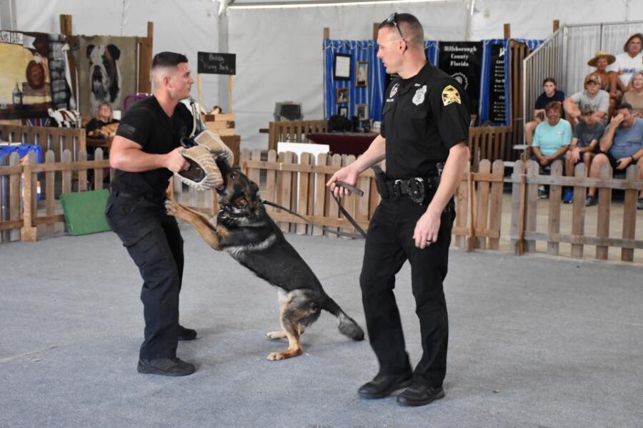 K-9 facility faces new questions as Commerce Park proposals seek land