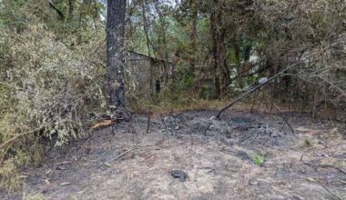 ‘They weren’t alone’: Neighbors recount trying to help after car fire that killed Jacksonville woman, 3-year-old boy