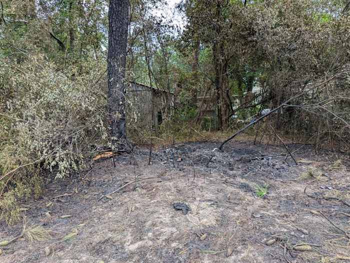 ‘They weren’t alone’: Neighbors recount trying to help after car fire that killed Jacksonville woman, 3-year-old boy