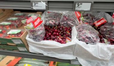 New Aldi opens in Hobe Sound as Treasure Coast shoppers look for ways to cut grocery costs