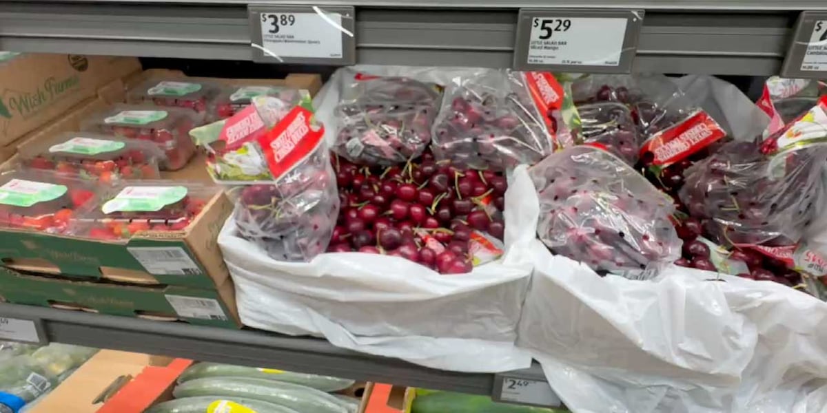 New Aldi opens in Hobe Sound as Treasure Coast shoppers look for ways to cut grocery costs