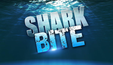 Shark bites Georgia man at Volusia County beach