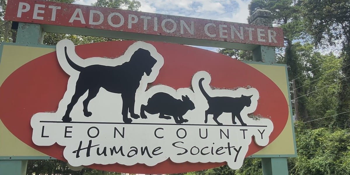 ‘People come in crying’: Leon County Humane Society reports at least 7 victims of lost pet scam