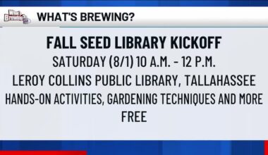 What’s Brewing - Fall Seed Library Kickoff