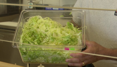 Jacksonville sub shop says sales down despite not using recalled lettuce