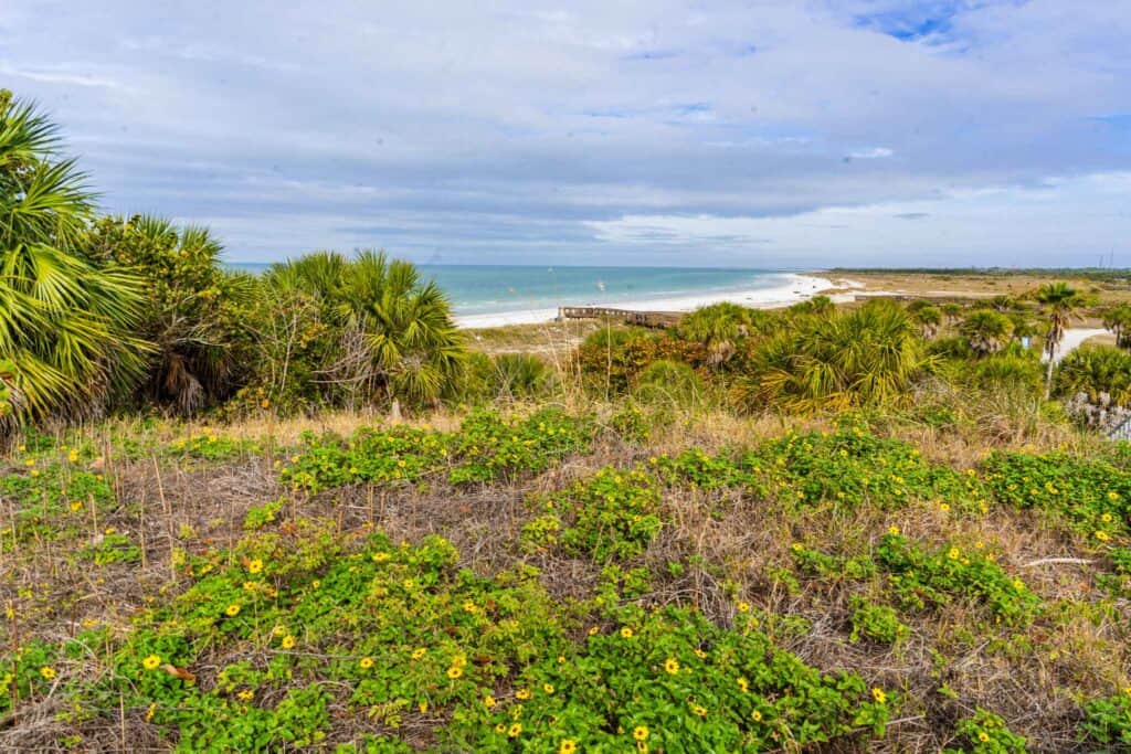 photo of a park near a beach
