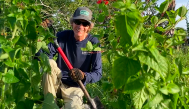 Volunteers sought for events - SANIBEL-CAPTIVA