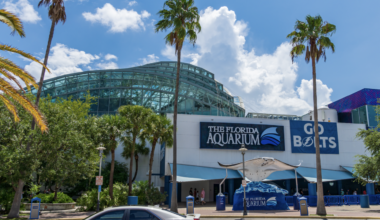 Florida Aquarium in Tampa to lay on 'Sea to Shining Sea' during Fourth of July weekend