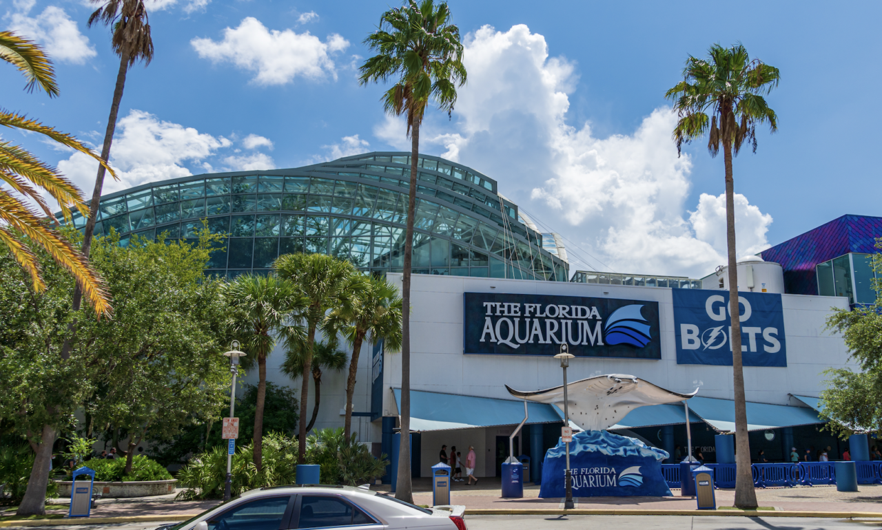 Florida Aquarium in Tampa to lay on 'Sea to Shining Sea' during Fourth of July weekend