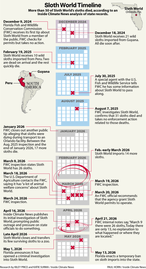 Sloth World timeline