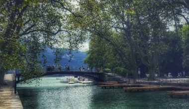 A bridge over water surrounded by trees in Switzerland.