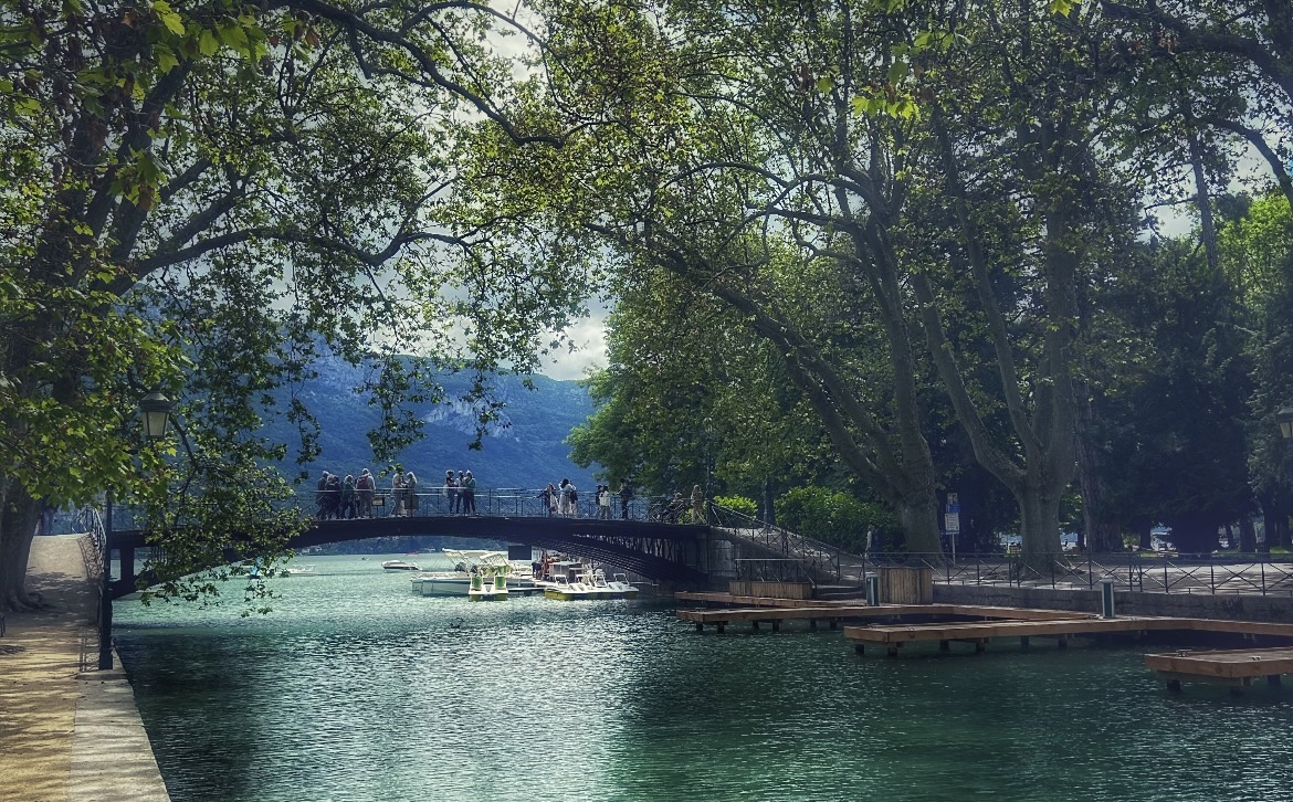 A bridge over water surrounded by trees in Switzerland.