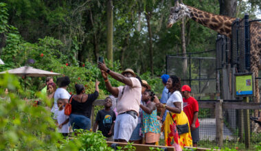 Central Florida Zoo & Botanical Gardens Things to do in Orlando besides theme parks