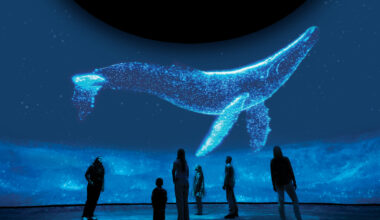 Dome After Dark: Surreal Nature