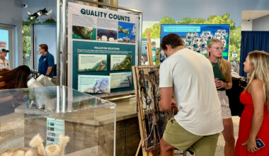 Three young adults interact with artwork and an indoor educational exhibit focused on environmental quality and pollution.