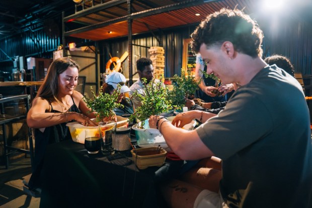 Past Bonsai Bar workshop attendees at LauderAle Brewery learn how to create and care for bonsai. (Bonsai Bar/Courtesy)
