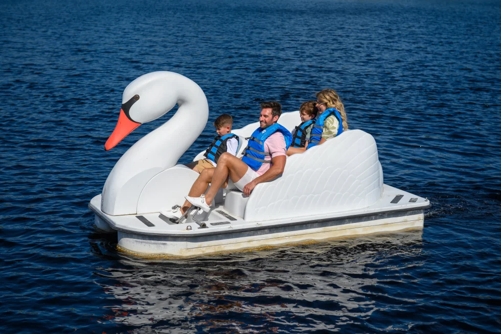 swan boat, The Grove Resort & Water Park Orlando