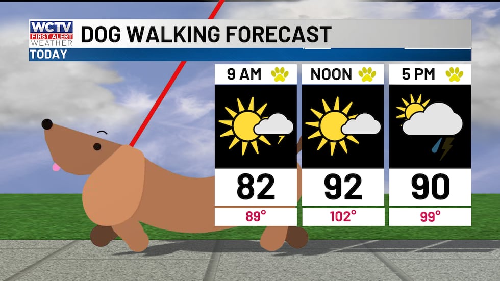 Hot and humid with scattered storms this afternoon.