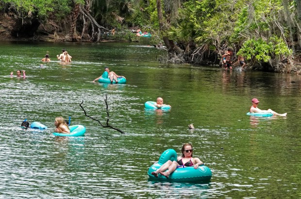 Tubers float down the run at Blue Spring State Park on April 3, 2026. (Joe Burbank/Orlando Sentinel)