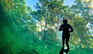 10 Florida state parks to visit during free July 4 weekend