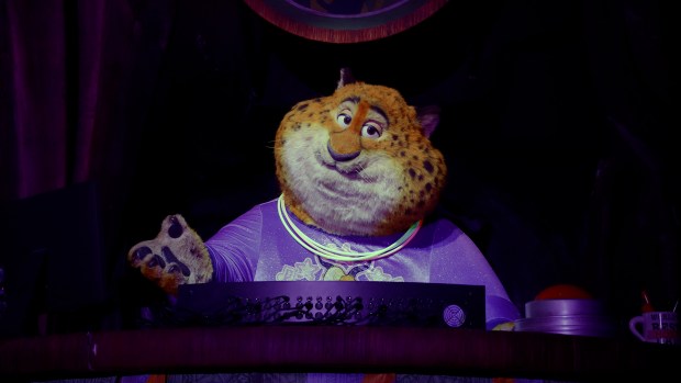 In Zootopia: Better Zoogether!, the Tree of Life Theater at Disney's Animal Kingdom Theme Park is the epicenter of a citywide celebration with a livestream watch party of the Zoogether Day festivities. Among the audience of mammals big and small is an all-new Audio-Animatronics figure of off-duty ZPD officer, Benjamin Clawhauser. Guests can see Clawhauser in his new look - sporting glow-in-the-dark necklaces and his favorite Gazelle tee shirt - when the "4D" show opens Nov. 7, 2025. (Walt Disney Co.)
