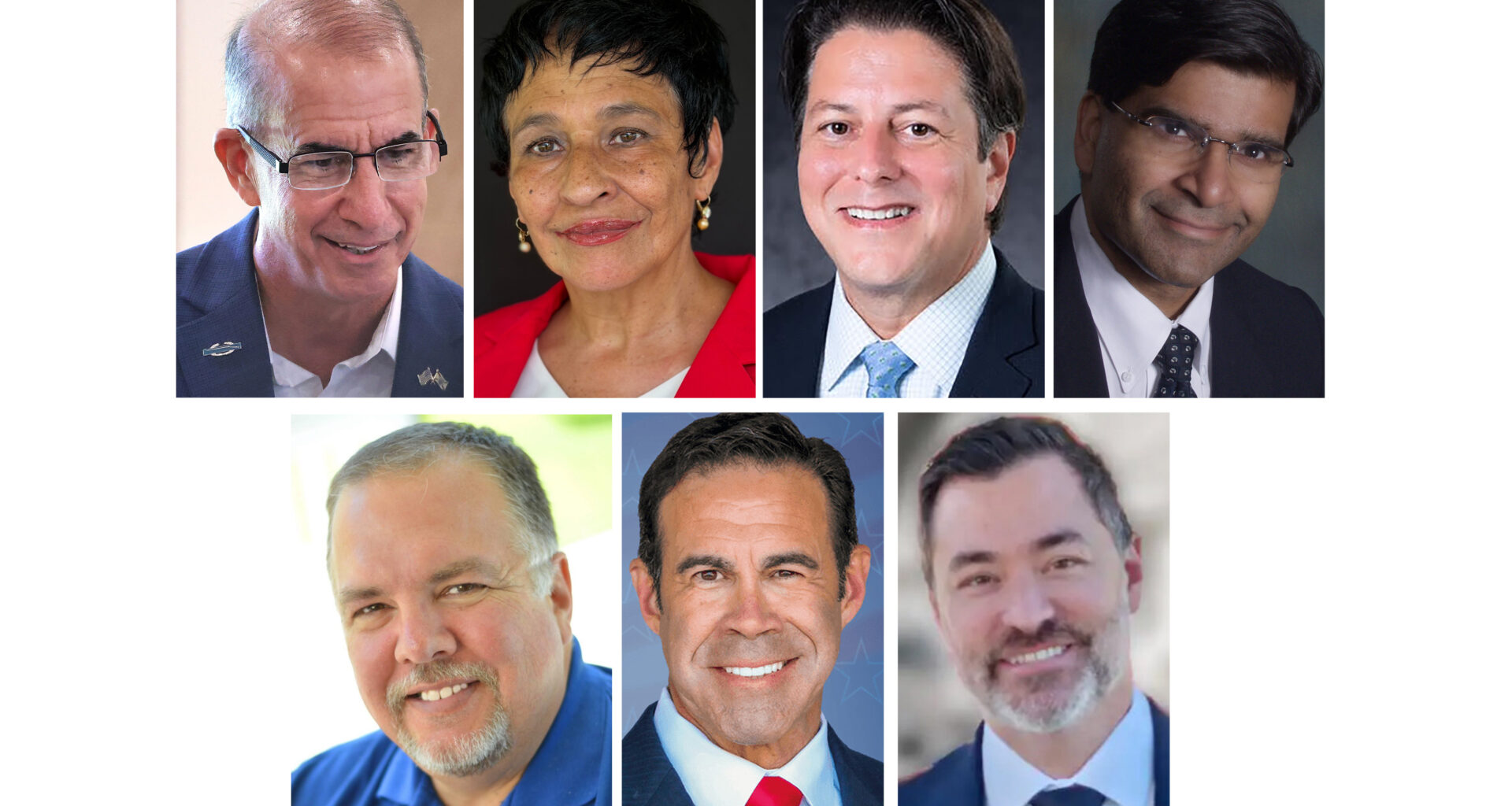 Webster's retirement leads to packed race for his seat