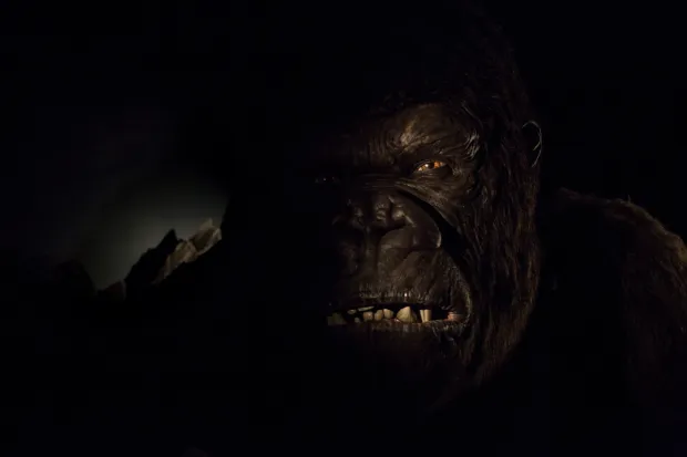 Kong Skull Island User Upload Caption: A large animatronic version of King Kong's head is part of Skull Island: Reign of Kong, an attraction set to open at Islands of Adventure in the summer of 2016. (Handout from Universal Orlando) - Original Credit: UNIVERSAL ORLANDO - Original Source: Handout