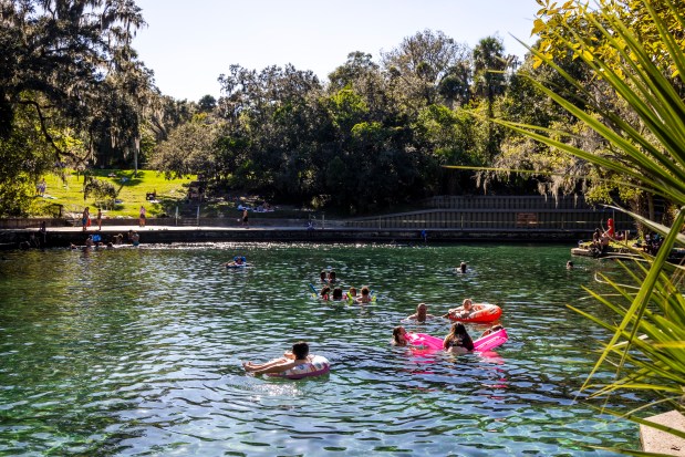 Visitors enjoy swimming in the cool natural water at Wekiwa Springs State Park in Seminole County on Oct. 13, 2025. (Patrick Connolly/Orlando Sentinel)