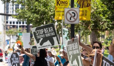 FWC secretly investigated environmental activists, records show