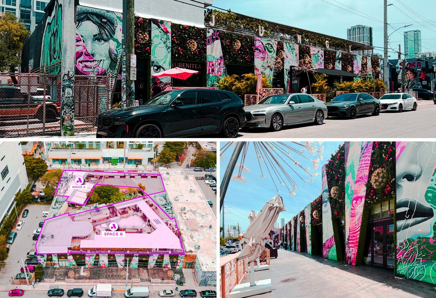 Tabani Group is the Buyer of Rivani’s Wynwood Jungle