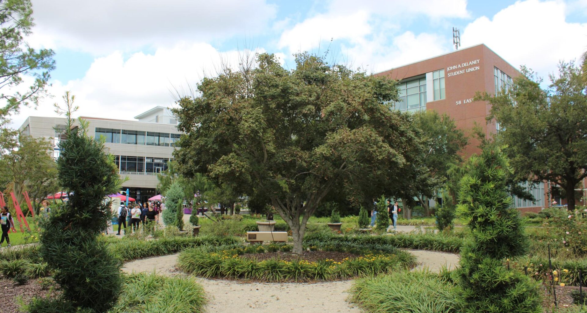 UNF faculty prepare students for job market with new AI curriculum, in-class tools