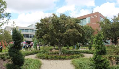 UNF faculty prepare students for job market with new AI curriculum, in-class tools
