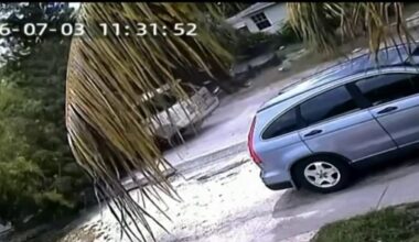 Lightning strike video captures tree crashing onto a moving car – NBC 6 South Florida