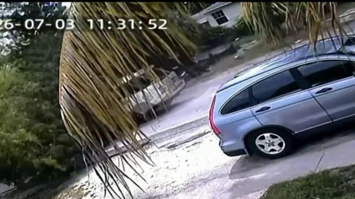 Lightning strike video captures tree crashing onto a moving car – NBC 6 South Florida