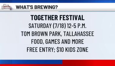 What’s Brewing - Together Festival