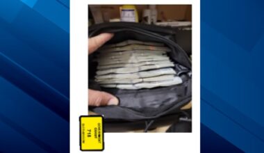 Tampa pharmacist convicted of selling 300,000 oxycodone pills in South Florida
