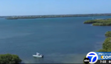 Person dies after boat hits mangroves in Terra Ceia Bay