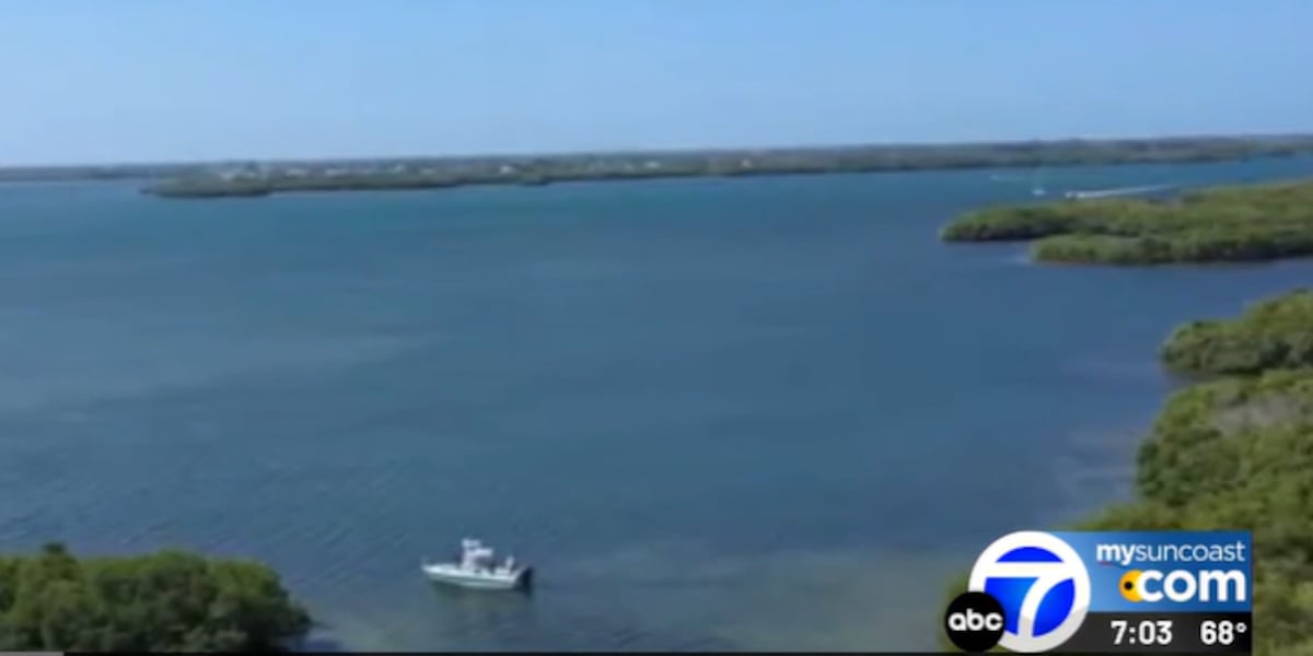 Person dies after boat hits mangroves in Terra Ceia Bay