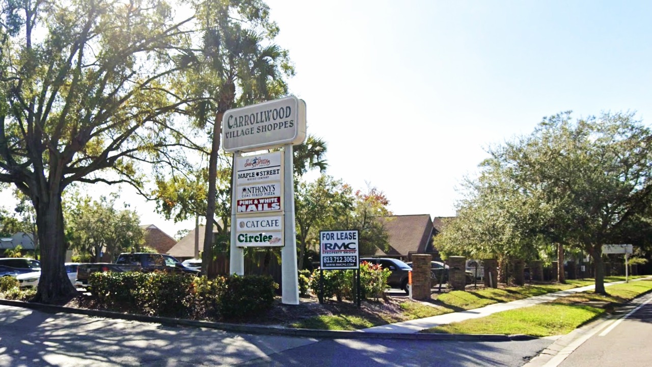 Entrance sign for Carrollwood Village Shoppes retail center in Tampa with tenant listings.
