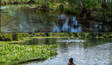 Top: Rock Springs Run. Bottom: Kayakers paddle along the Wekiva River near Wekiwa Springs. Both waterways are among the Outstanding Florida Springs highlighted in the St. Johns River Water Management District's draft Middle St. Johns River Basin Plan, which prioritizes spring protection, water quality and floodplain conservation.