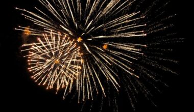 COUNTY-BY-COUNTY: Where to celebrate the Fourth of July, see fireworks across Central Florida