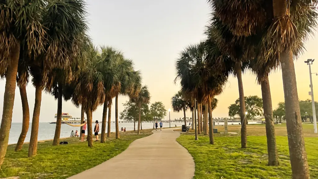 a waterfront park at sunset. A sidewalk is lined on either side with palm trees in St. Pete, Florida