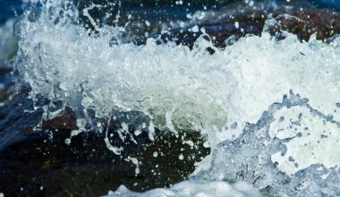 Florida man drowns in Lake Greenwood, coroner says