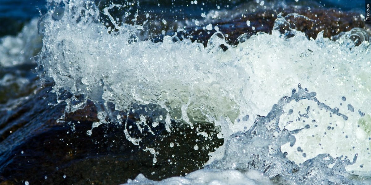 Florida man drowns in Lake Greenwood, coroner says