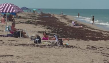 Jensen Beach Park restrooms, concession building rebuild expected by late 2027