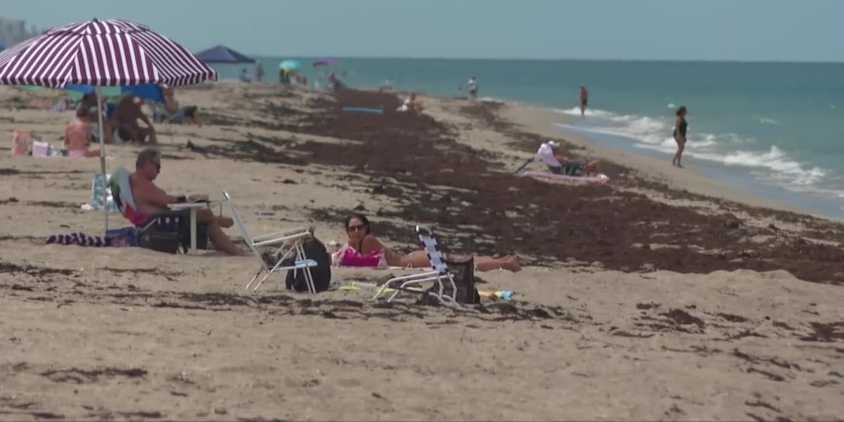 Jensen Beach Park restrooms, concession building rebuild expected by late 2027