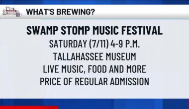What’s Brewing - Swamp Stomp Music Festival